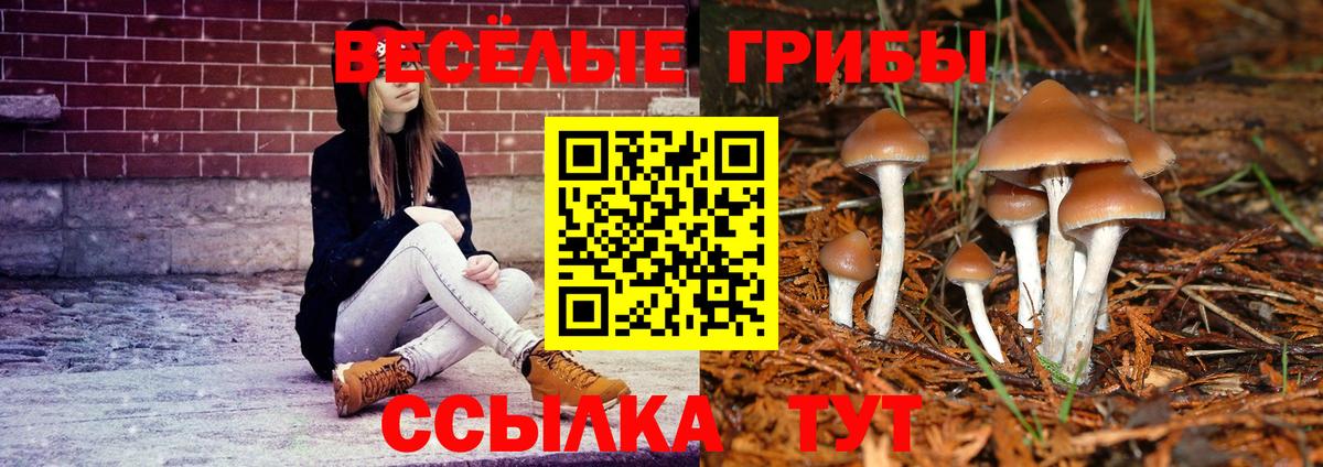 Псилоцибиновые грибы мицелий  Вход с VPN  Звенигород  Псилоцибиновые грибы ЛСД 